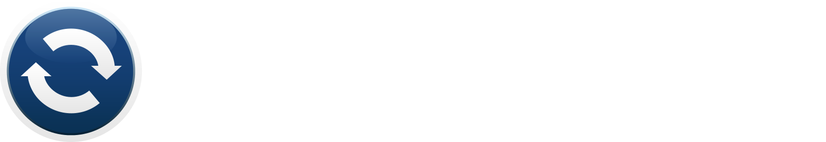 Nettikasinot Logo